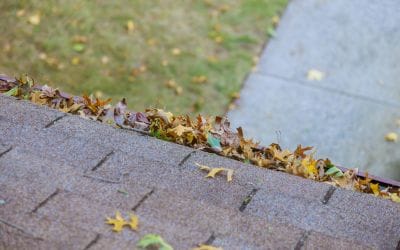 How To Prepare Your Roof For Fall