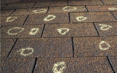 4 Signs You Should Replace Your Roof